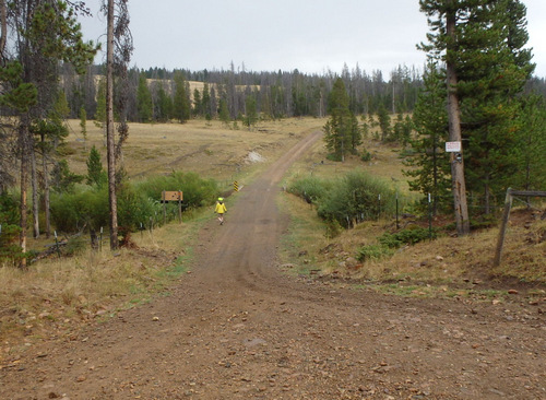 GDMBR: This was our turn, Dog Creek.